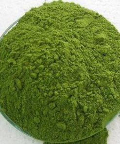 Moringa Oleifera Powder 3