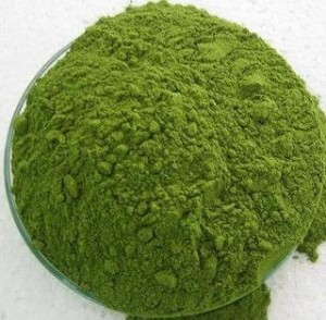 Moringa Oleifera Powder 3