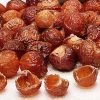 soap nuts canada