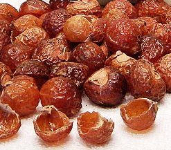 soap nuts canada