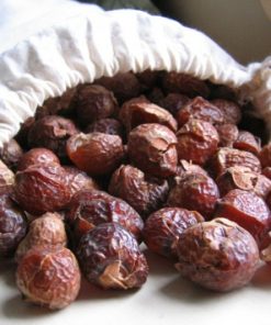 soap nuts canada