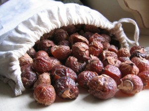 soap nuts canada