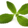 Stevia Leaf