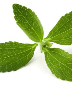 Stevia Leaf