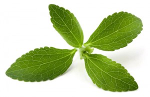 Stevia Leaf