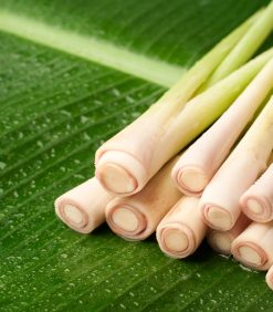 essential oil lemongrass 2