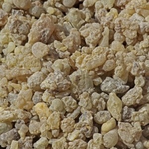 essential oil frankincense