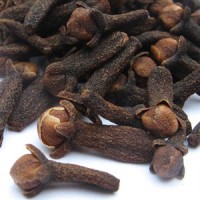 essential oil clove bud