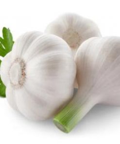 essential oil garlic