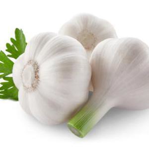 essential oil garlic