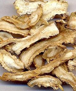 essential oil angelica root dried