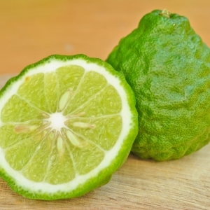 Essential Oil Bergamot 2