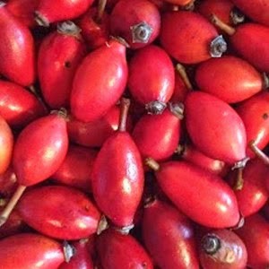 Rosehip Oil 2