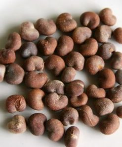 baobab oil seeds