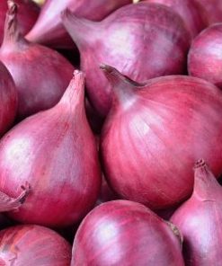 essential oil onion