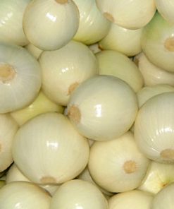 essential oil onion peeled