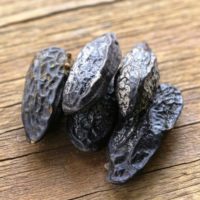 tonka bean absolute 2