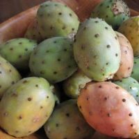 prickly pear oil fruit