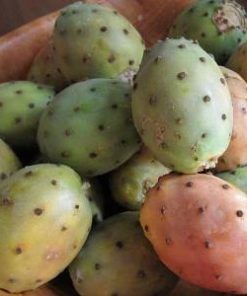 prickly pear oil fruit