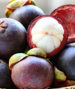 Kokum Butter Fruit 1