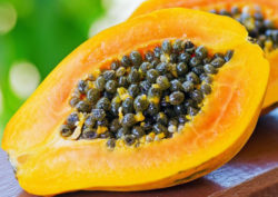 papaya seed oil 3