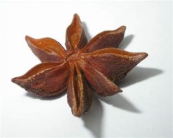 Essential Oil Star Anise 2