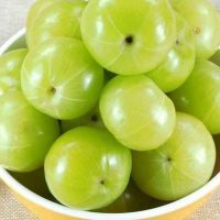 Amla Oil Fruit